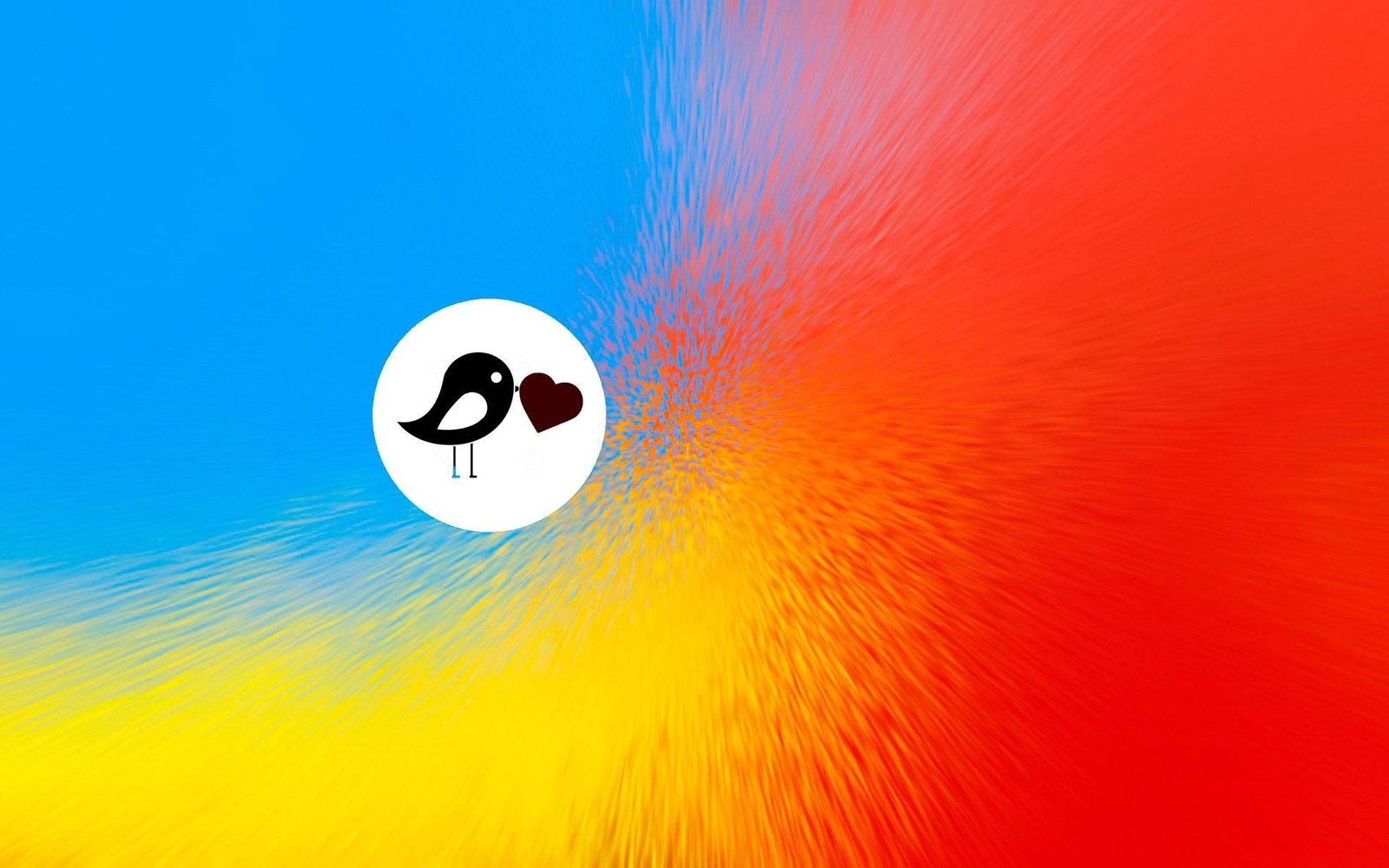 Cane Contenidos - Creación de Sitios Web y Contenidos Multimedia