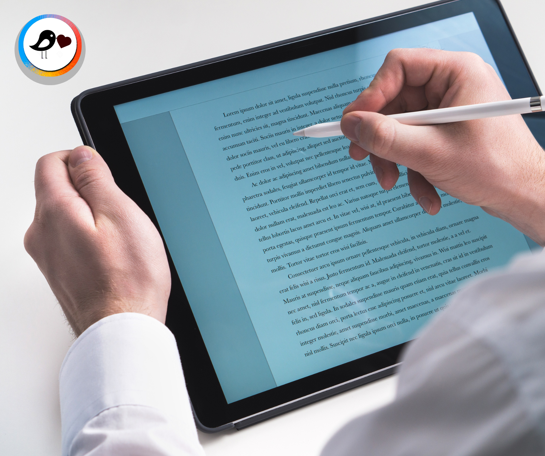 Textos de Posicionamiento - Marketing Digital -Cane Contenidos